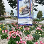 Star Lipno 4* Lipno nad Vltavou