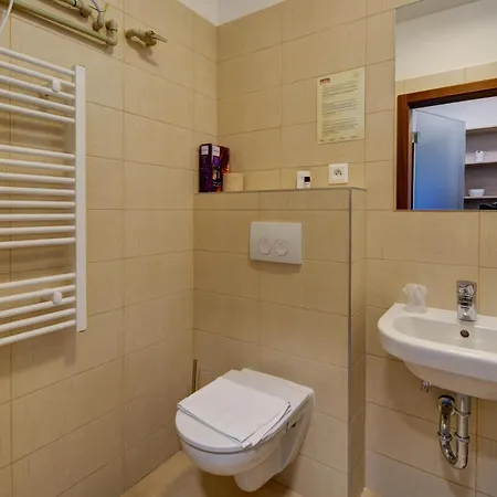 Hotel Star Lipno 3*