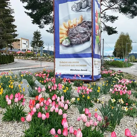 Star Lipno 4* Lipno nad Vltavou