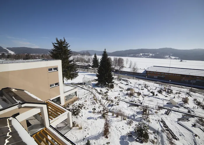 Отель Star Lipno 4*