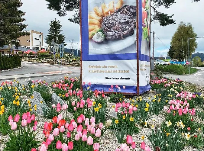 Star Lipno 4* Lipno nad Vltavou